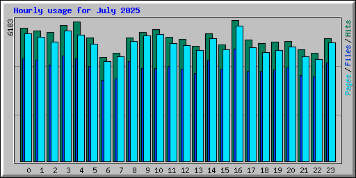 Hourly usage for July 2025